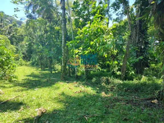 Imagem AREA DE FRENTE PARA A RODOVIA OSWALDO CRUZ (6 KM DO CENTRO)