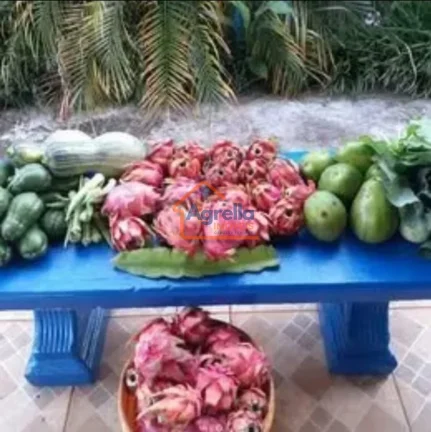 Imagem Chácara à venda no bairro Paraíso da Cachoeira - Mogi Mirim/SP