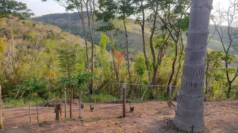 Imagem CH - 24110 - CHÁCARA EM CAÇAPAVA COM 4 QUARTOS