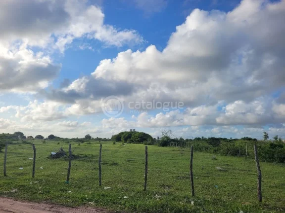 Imagem Área em Jardim - São Gonçalo do Amarante com 17ha