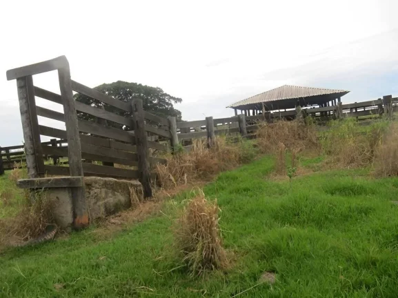 Imagem Fazenda a venda em Pontes e Lacerda - MT