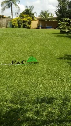 Imagem Chácara para Venda em Americana, Bosque dos Ipês, 1 dormitório, 1 banheiro, 1 vaga