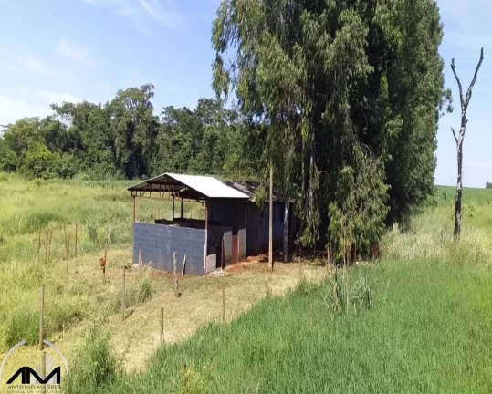 Imagem CHACARA RURAL em DOURADOS - MS, Picadinha