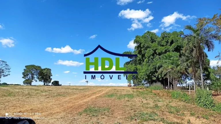 Imagem 28 alqs com 24,5 alqs em Soja.