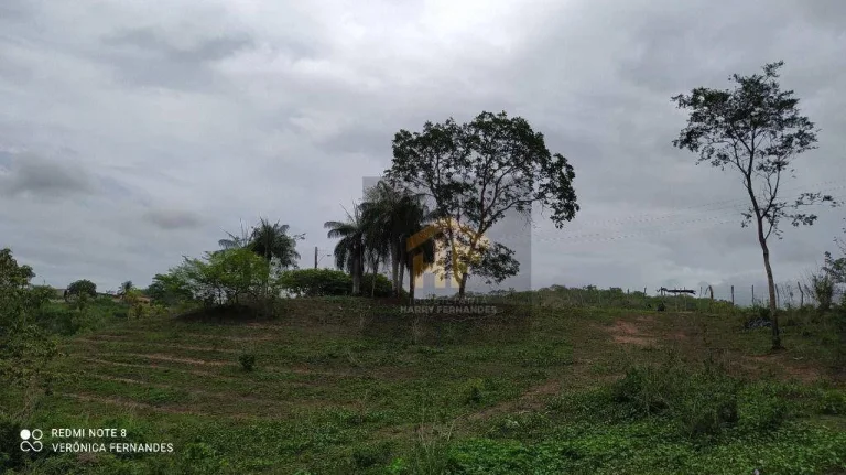 Imagem Fazenda com terreno de 14.888 hectares à venda em Paudalho, Pernambuco