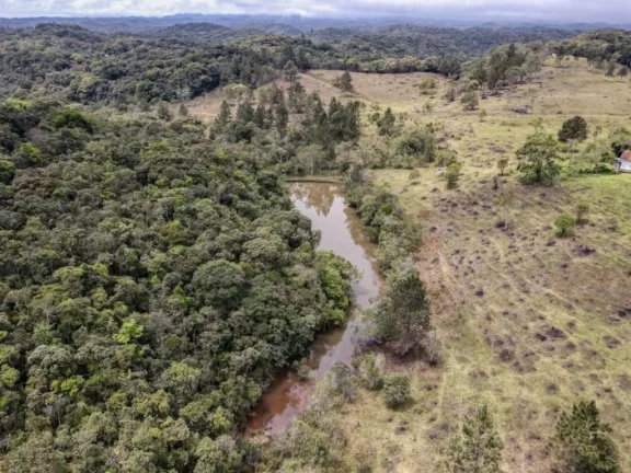 Imagem Fazenda à venda de 118,75 hectares em Embu Guaçu!!! Oportunidade incrível!