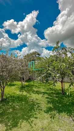 Imagem CHACARÁ À VENDA EM ÓTIMA LOCALIZAÇÃO