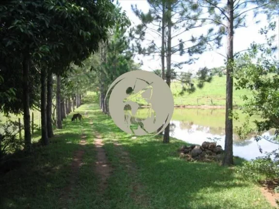Imagem MARAVILHOSO SITIO PORTEIRA FECHADA 48.000 M2 NA BEIRA DO RIO SOROCABA , MUNICIPIO DE JUMIRIM EXCELEN...