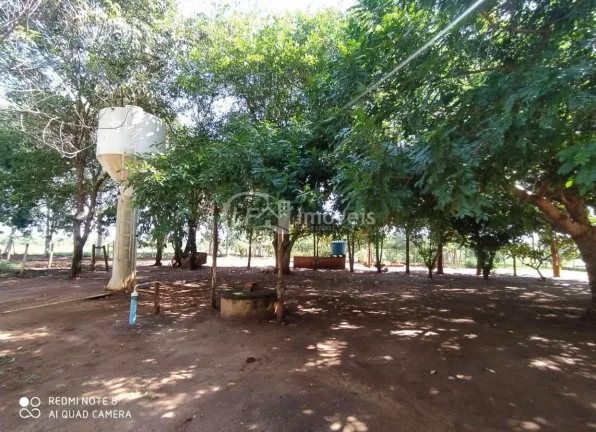 Imagem Excelente Chácara, 15.5 Ha, formada,