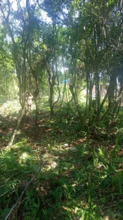 Imagem Terreno para Venda em Itanhaém, Jd Marambá