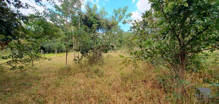 Imagem TERRENO TEMPORADA em ESMERALDAS - MG, ESMERALDAS/QUATI