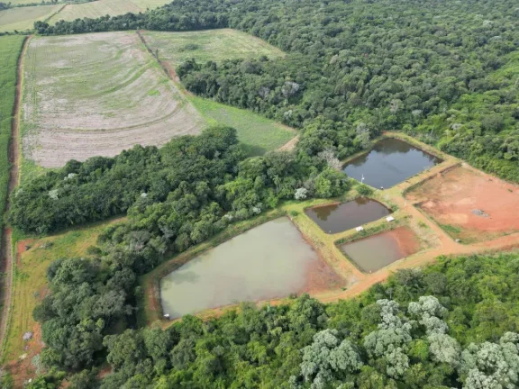 Imagem Chácara à venda em Cascavel, Centro - Casa de caseiro, Rio e Lago para pesca