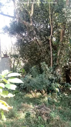 Imagem Chácara para Venda em Suzano, Chácaras Monte Carlo, 2 dormitórios, 1 suíte, 2 banheiros, 4 vagas