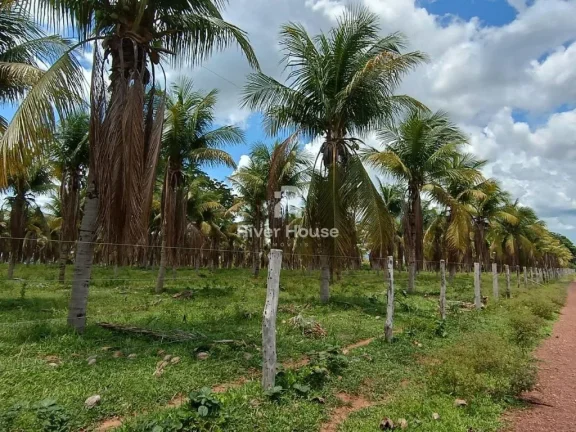 Imagem Fazenda a venda com 890 hectares Dupla aptidão na Região de Nossa senhora do Livramento Livramento MT