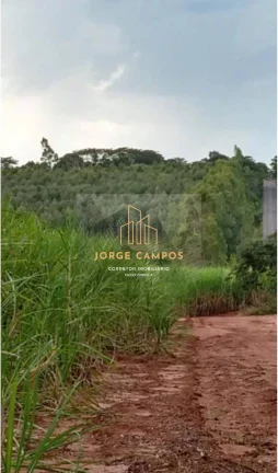 Imagem FA-25232 - FAZENDA À VENDA NA REGIÃO DE PALESTINA-SP