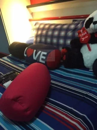 Imagem APARTAMENTO À VENDA EM SANTO AMARO TOTALMENTE MOBILIADO