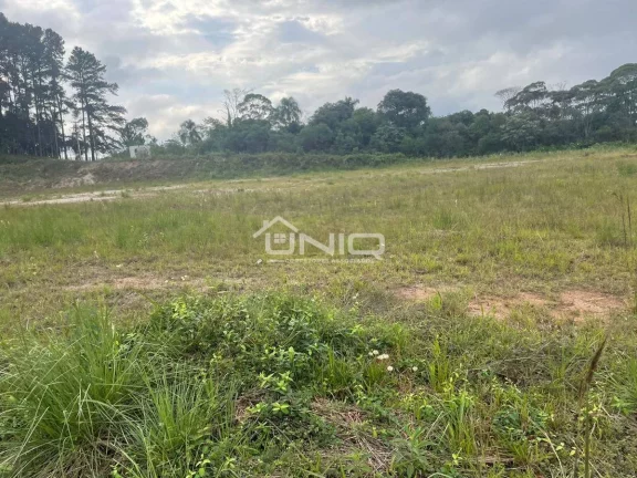 Imagem Terreno em Araucária PR - Parque Industrial Thomás Coelho