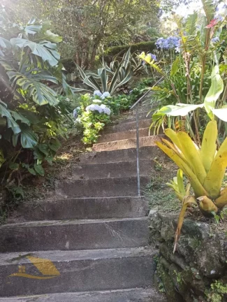 Imagem Alugo Chácara em Theodoro com 3 quartos e 1 suíte