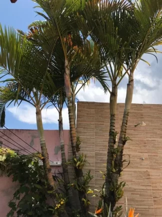 Imagem Chácara com 4 dormitórios à venda, 1050 m² por R$ 900.000,00 - Varinhas - Mogi das Cruzes/SP