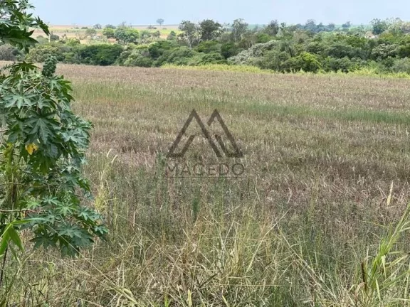 Imagem Área de 6.18 alqueires à Margem da Castello Branco - Cesário Lange/SP