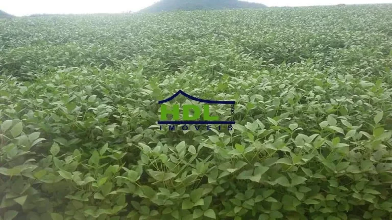 Imagem Fazenda 8.107 Alqs dupla aptidão Confresa MT