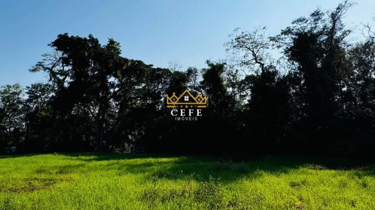 Imagem Chácara - Sítio com 1 Dormitorio(s) localizado(a) no bairro Zona Rural em Nova Hartz / RIO GRANDE DO SUL Ref.:1583