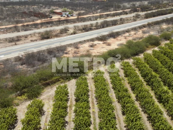 Imagem Lote de 15 hectares, escriturado e quitado na CODEVASF, PETROLINA - PE