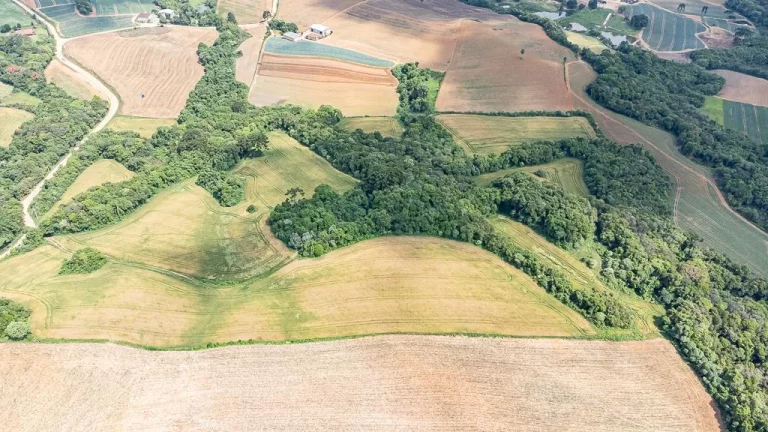 Imagem Chácara com 6 alqueires em Campo Magro