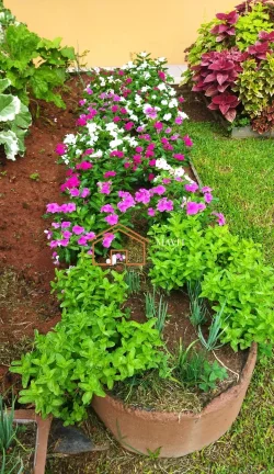 Imagem CASA RESIDENCIAL em JOINVILLE - SC, COSTA E SILVA