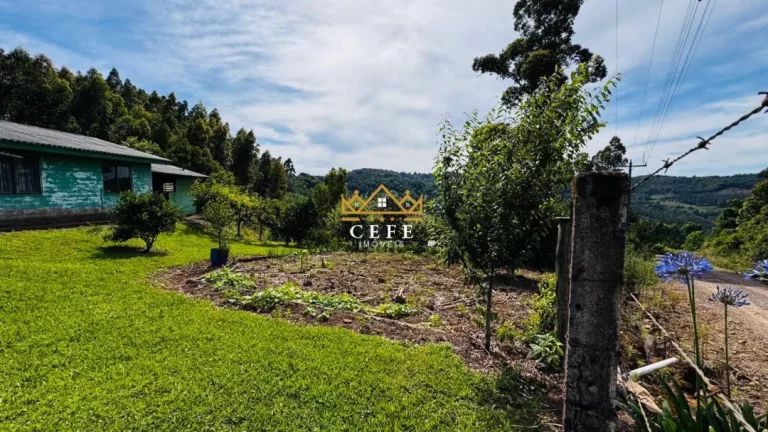 Imagem Chácara - Sítio com 2 Dormitorio(s) localizado(a) no bairro Zona Rural em Santa Maria do Herval / RIO GRANDE DO SUL Ref.:1592