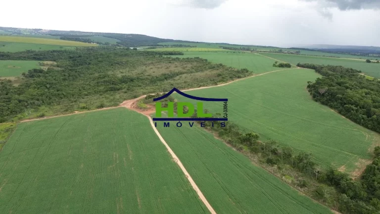 Imagem Fazenda 70 Alqs Dupla Aptidão plantada em Soja em Bela Vista GO