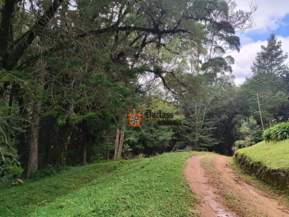 Imagem Sítio à venda, 60500 m² por R$ 905.000 - Bom Jardim - Camanducaia/MG