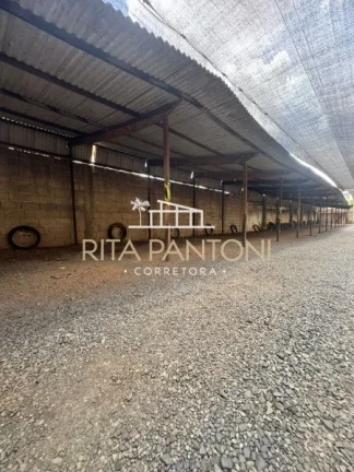 Imagem Terreno - Ribeirão Preto - Centro - Região Central