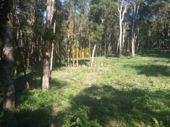 Imagem Chácara, 7000m2, à venda no Recreio da Serra em Piraquara!!!
