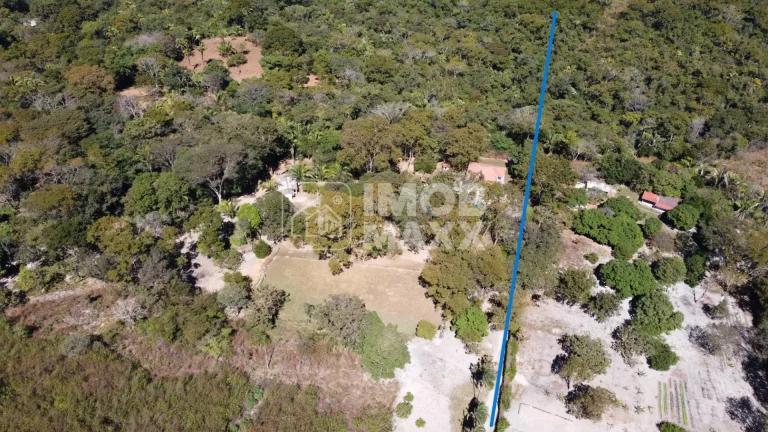 Imagem Chácara formada, excelente oportunidade, margem Rio Maranhão, pomar, em Planaltina DF.