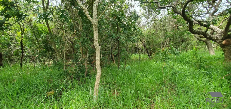Imagem AREA RURAL em ESMERALDAS - MG, ANDIROBA
