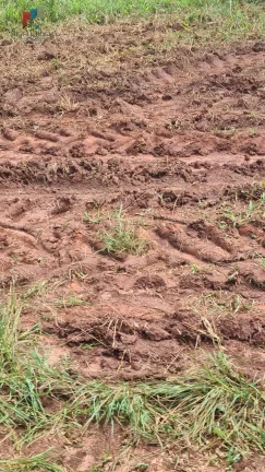 Imagem Fazenda região de Araraquara SP