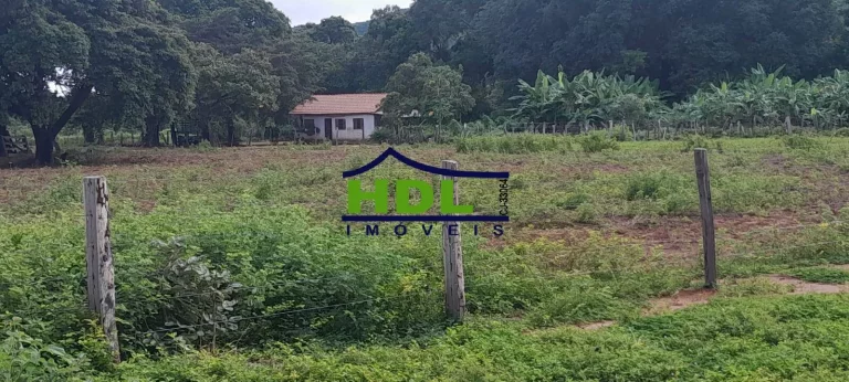 Imagem Fazenda 240 Alqs Dupla Aptidão em Peixe TO