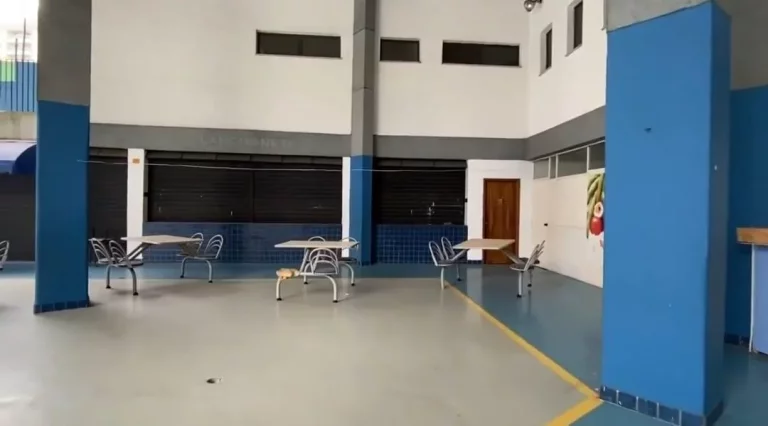 Imagem Prédio para Venda em São Paulo / SP no bairro Vila Gomes