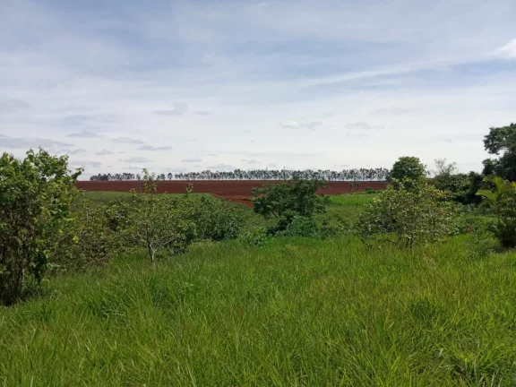 Imagem CHÁCARA A 3 QUILÔMETROS DE FRANCA!