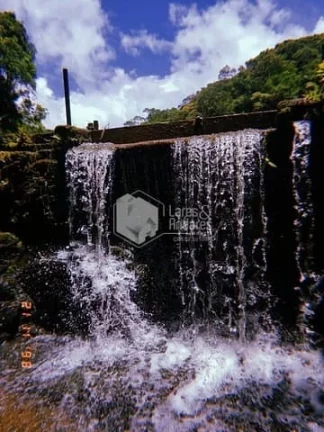 Imagem Chácara à venda, com 144.000m² com Plantas frutíferas, espaço gramado, 3 lagos com nascentes, Casa com 4 Dorm, lareira e muito mais - Embu-Guaçu, SP