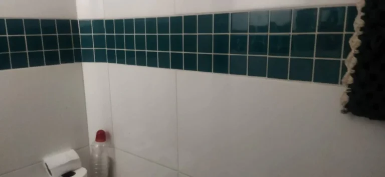 Imagem Vendo Sobrado em Santo André, Capuava