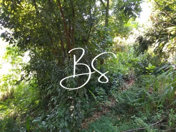 Imagem TERRENO RESIDENCIAL em TRÊS COROAS - RS, Linha 28