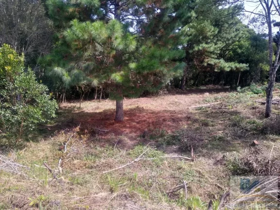 Imagem Terreno para Venda em São José dos Pinhais, Inhoaiva