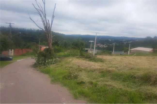 Imagem RAJLT 32 Lote 690591030-3