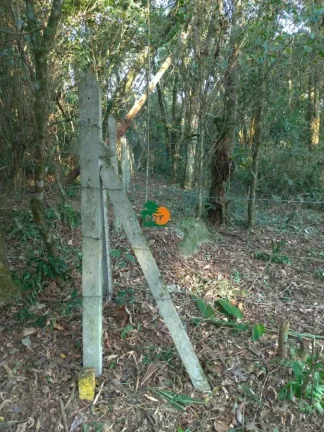 Imagem Terreno para Venda em São Roque, Jardim Dos Andes (mailasqui)