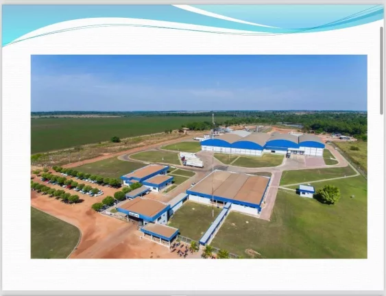 Imagem Frigorífico á Venda- Mato Grosso