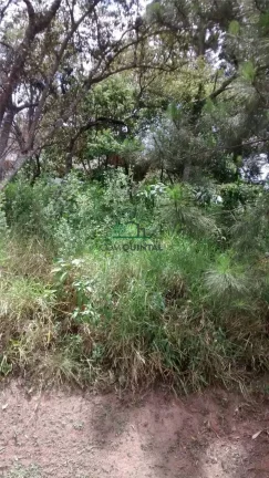 Terreno à Venda, 520 m² em Golf Gardens - Carapicuíba