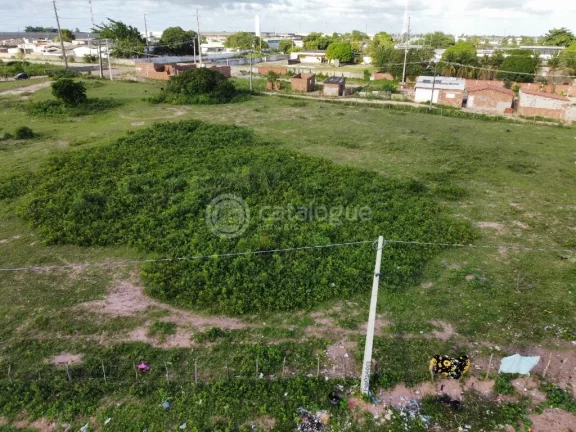 Imagem Área em Jardim - São Gonçalo do Amarante com 17ha