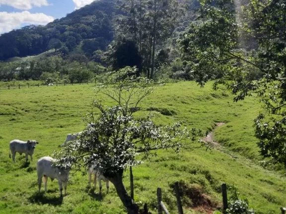 Imagem Terreno à Venda, 36.846 m2, com Viabilidade para Loteamento. Sul do Rio, Santo Amaro da Imperatriz, SC